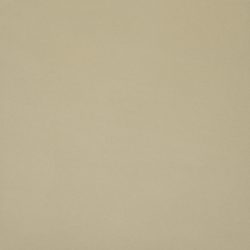 Beige Wit